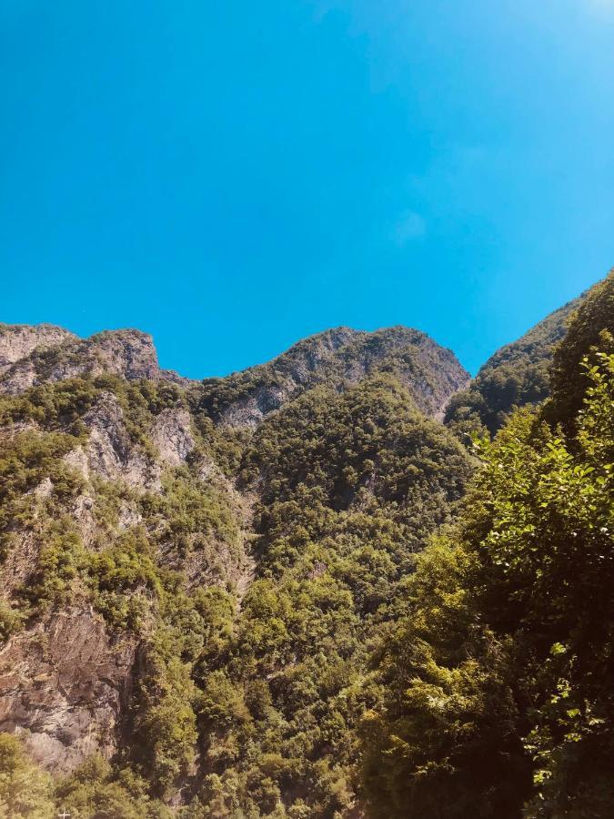 Hotel Kompleksi Arifi Shkoder Bagian luar foto